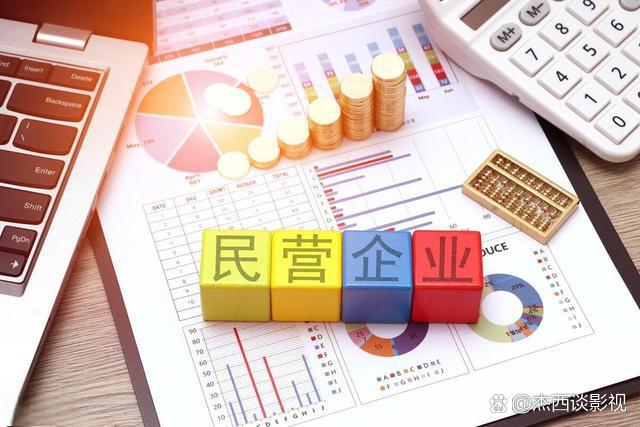 民营企业资本规划(民营企业资本规划包括哪些)阿拉善左旗