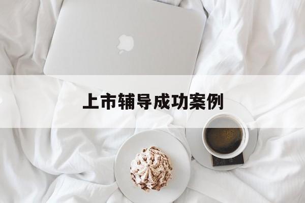 上市辅导成功案例(上市辅导成功后肯定会上市吗)阿拉善左旗 上市辅导成功案例(上市辅导成功后肯定会上市吗)阿拉善左旗